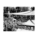 TentTom In The Wild in Kathmandu - Kathmandu, Nepal 1972 - Premium Poster Print