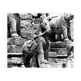 Stone Horse At Royal Palace - Patan Nepal, Durbar Square - Premium Poster Print