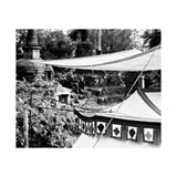 TentTom In The Wild in Kathmandu - Kathmandu, Nepal 1972 - Premium Poster Print