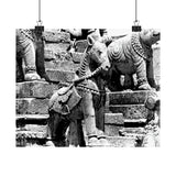 Stone Horse At Royal Palace - Patan Nepal, Durbar Square - Premium Poster Print
